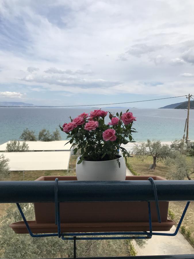 Amalfi Complex Leilighet Kato Almiri Eksteriør bilde